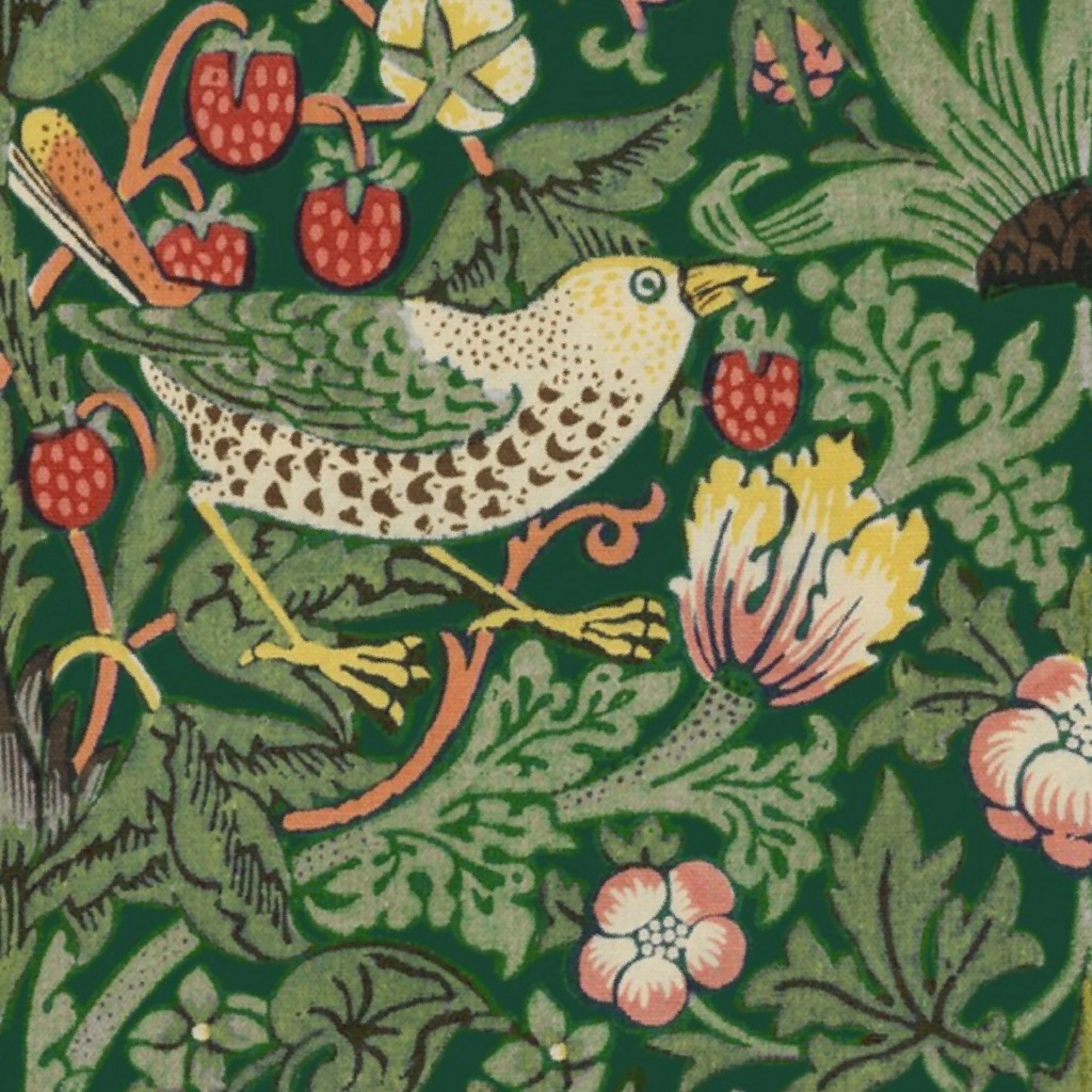 Strawberry Thief Redux ~ William Morris ~ Greens on Tam Lin Wallpaper by peacoquettedesigns