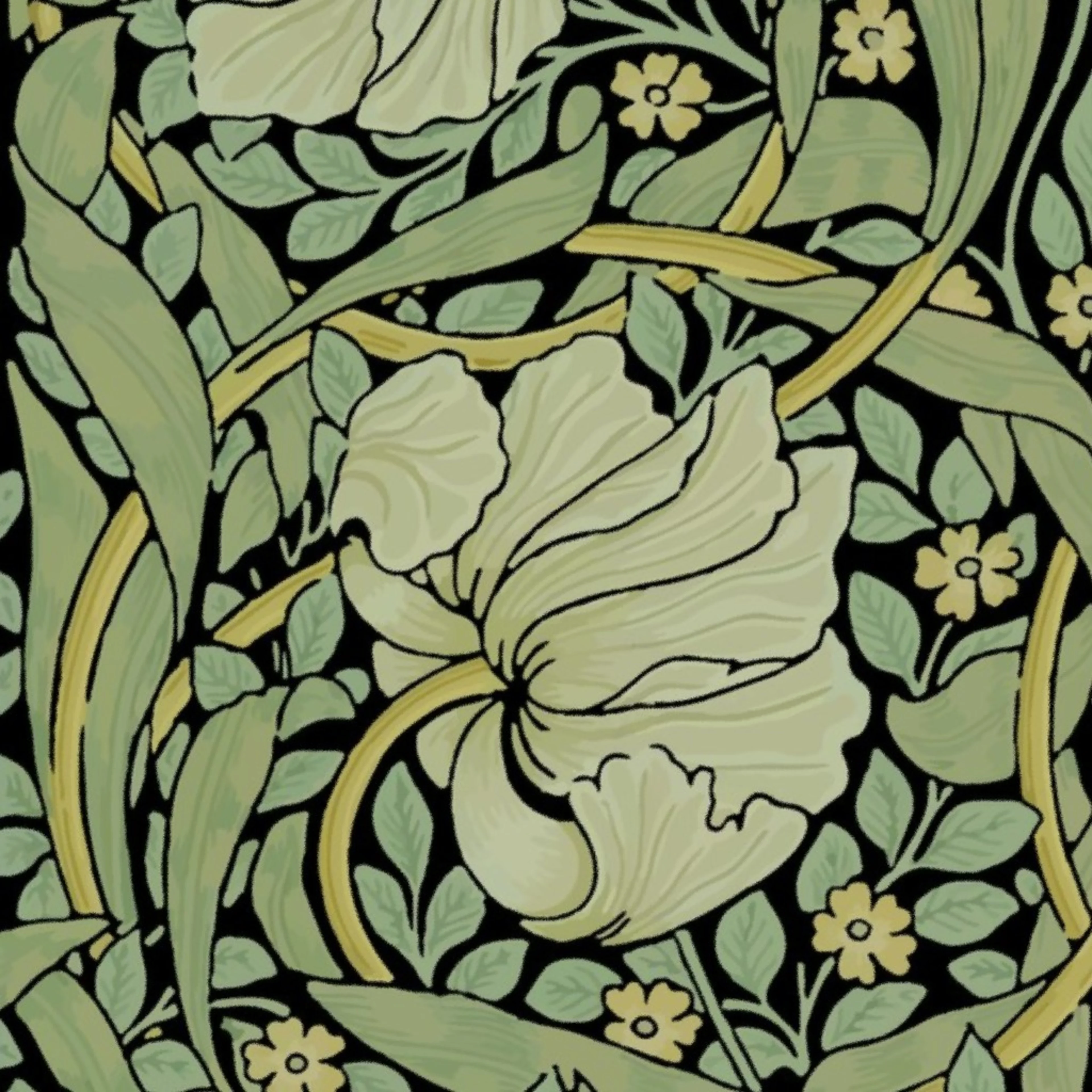 William Morris Antiqued Pimpernel Original on Black Wallpaper by peacoquettedesigns